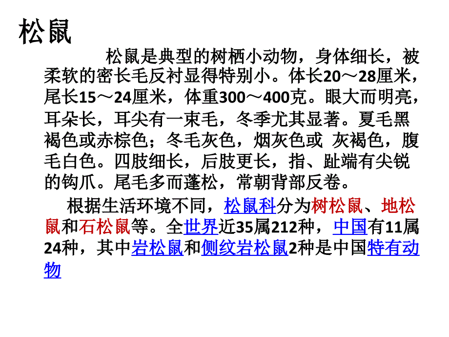 上课专用22跑进家来的松鼠优秀课件_第3页