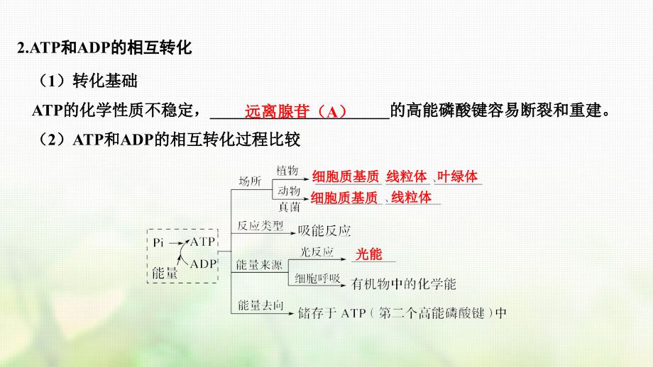 高考生物一轮复习第三单元细胞的能量供应和利用第9讲ATP与细胞呼吸课件_第4页