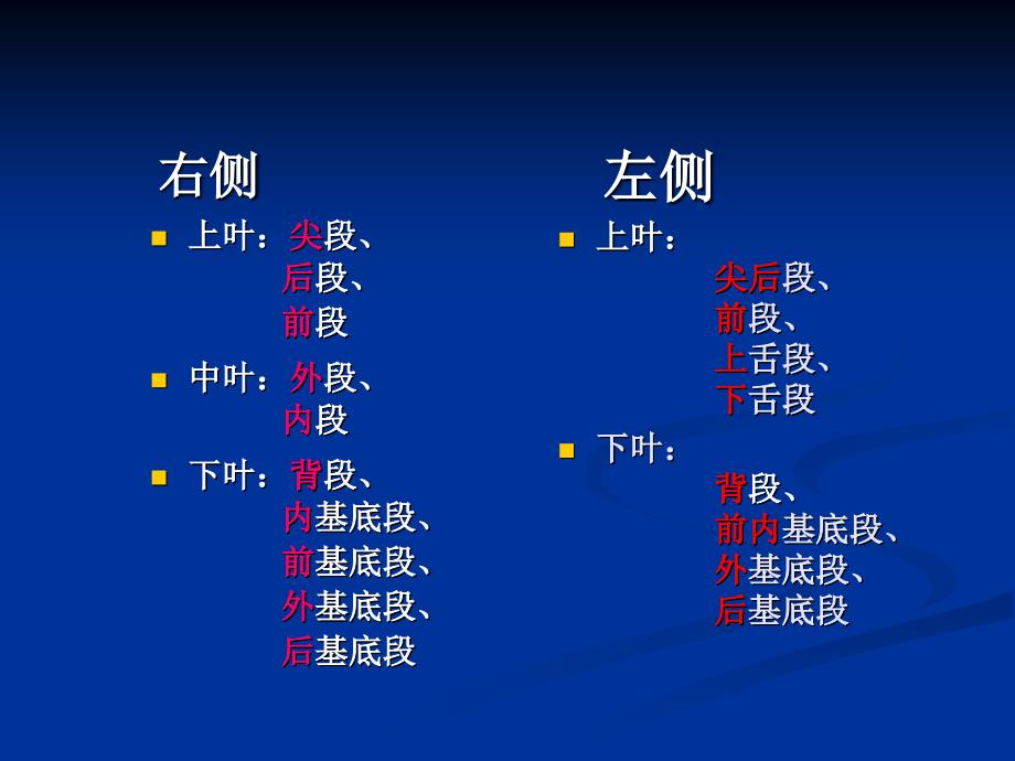 肺的分叶分段PPT课件_第2页