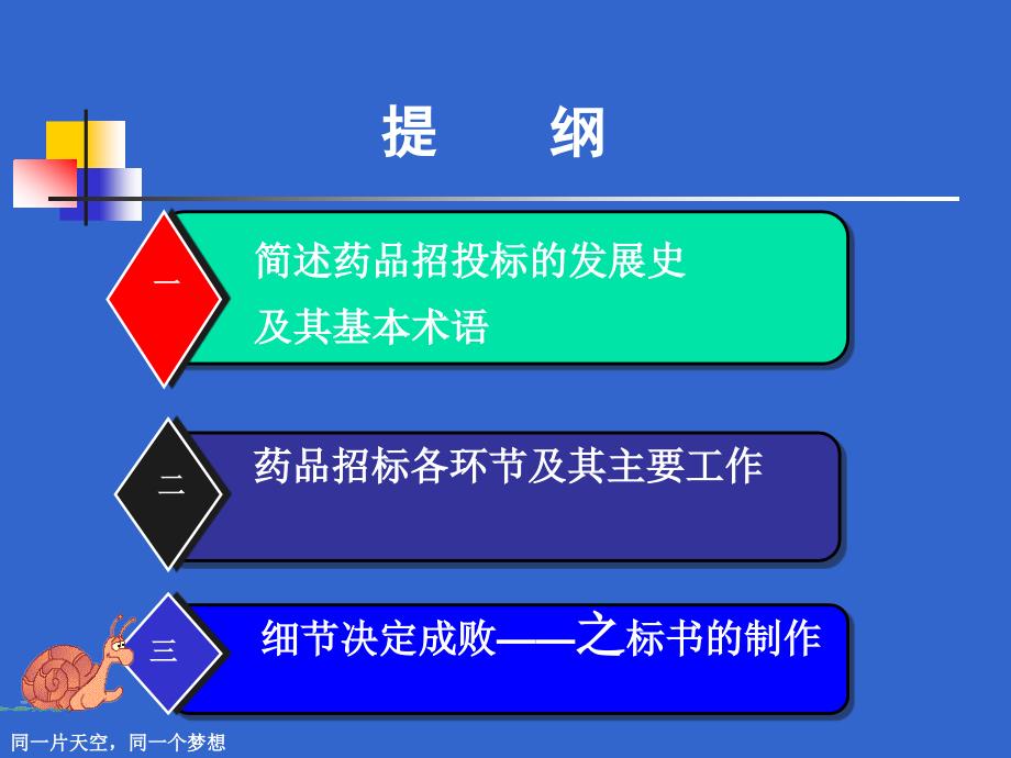 药品招标细节决定成败概要.ppt_第2页