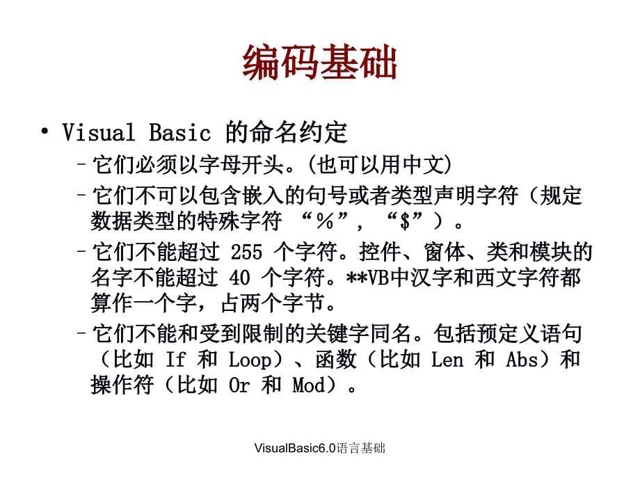 VisualBasic6.0语言基础课件_第5页