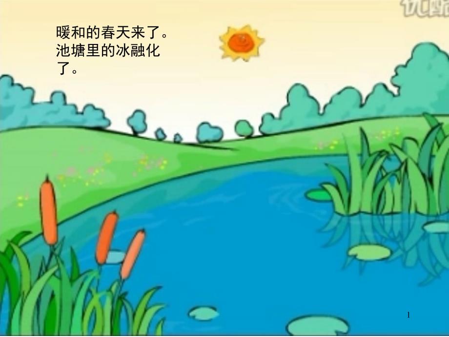 大班语言课小蝌蚪找妈妈课堂PPT_第1页