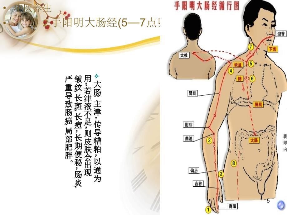 五行与经络ppt课件_第5页