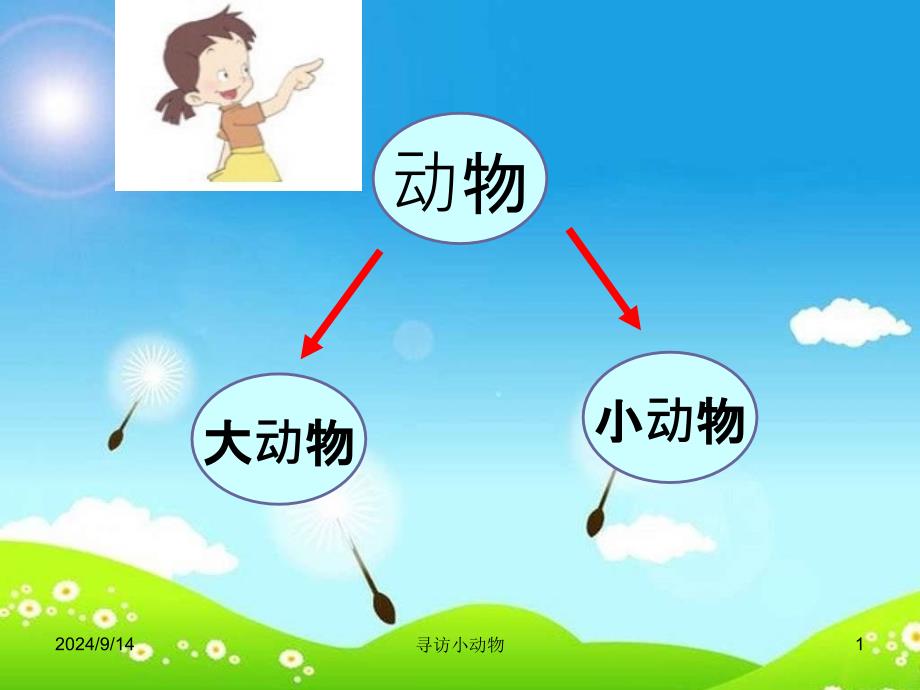 教科版科学三上《寻访小动物》课件_第1页