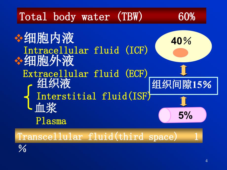 病理生理学水电解质代谢紊乱ppt课件_第4页