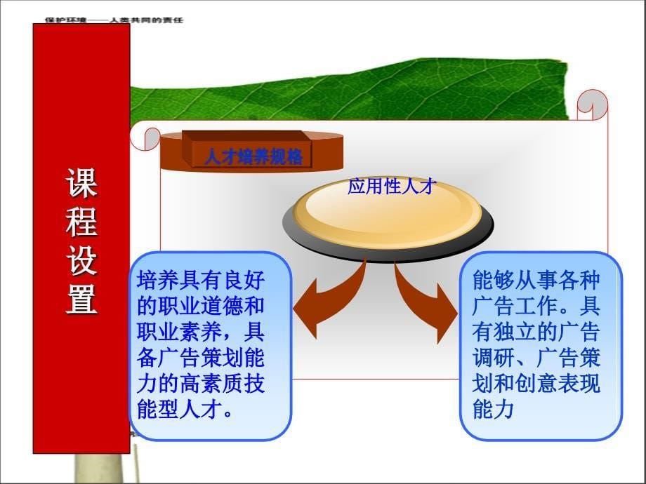 广告策划实务与案例说课_第5页