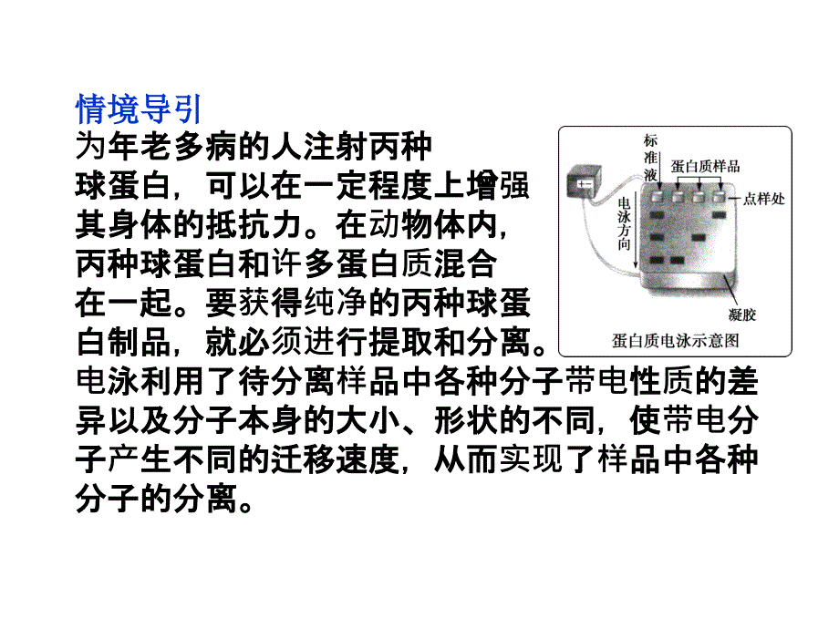 高二生物同步通用课件血红蛋白的提取和分离新人教选修_第3页