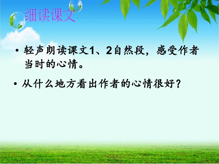 人教版语文六年级上册第一课山中访友课件_第4页