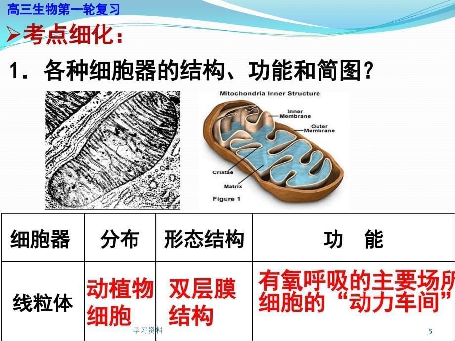 细胞器的结构和功能#学习资料_第5页