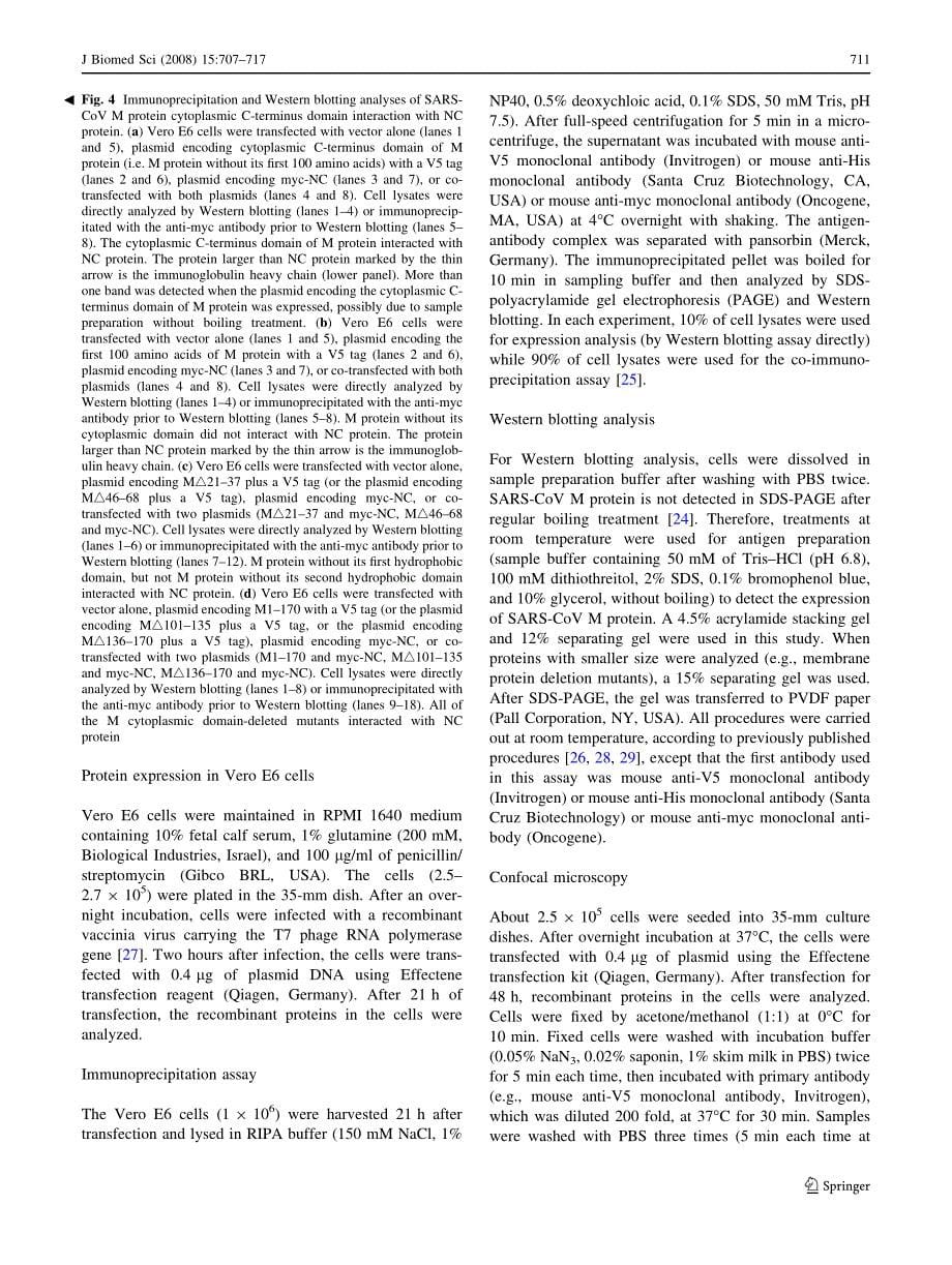 【病毒外文文献】2008 Interactions between M protein and other structural proteins of severe, acute respiratory syndrome-associated coron_第5页