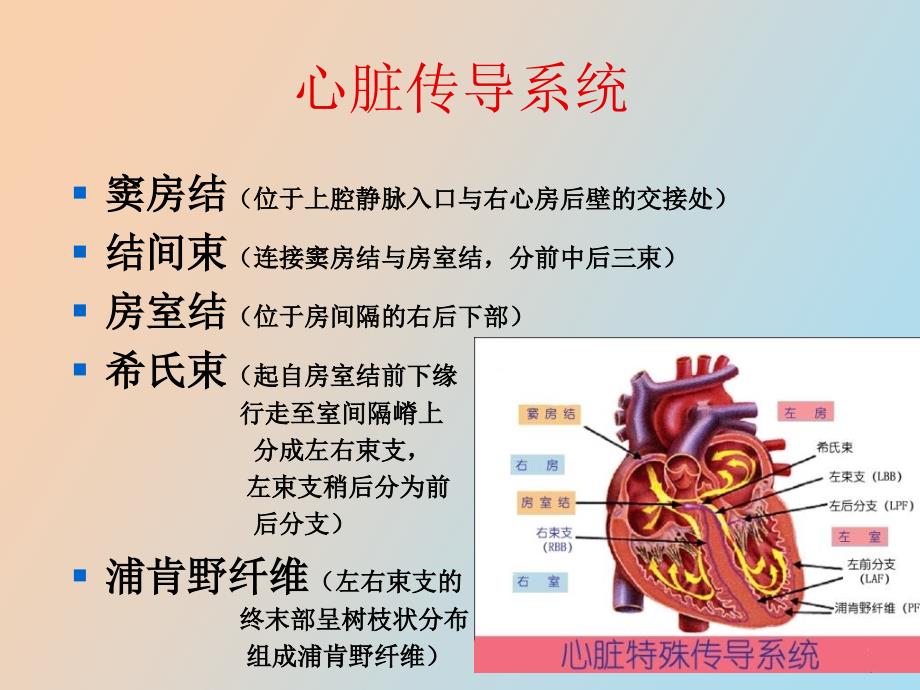 心脏传导阻滞及麻醉处理_第2页