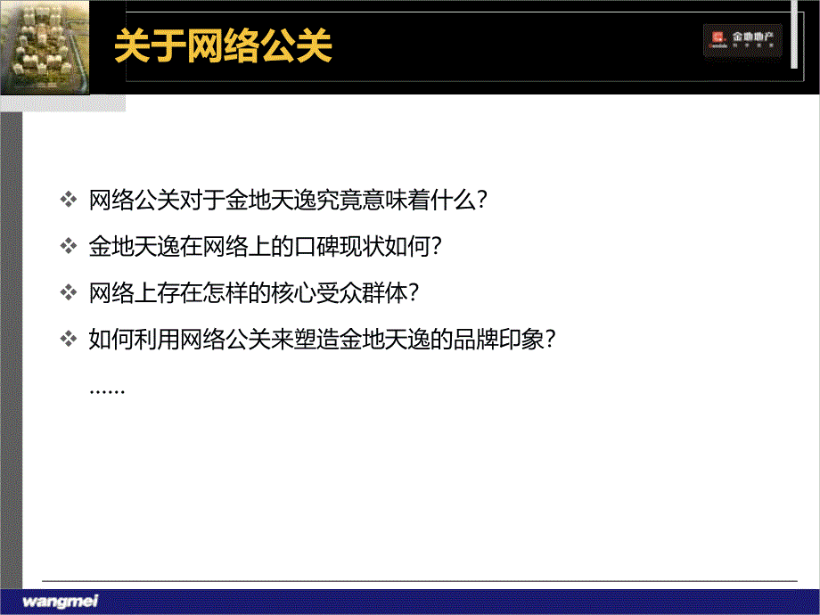 某项目网络公关方案_第4页