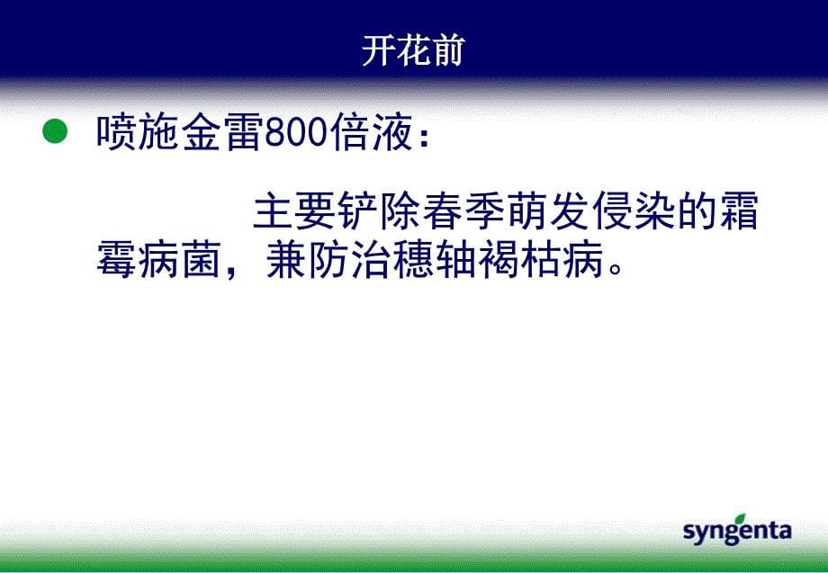 葡萄病虫害防治方案通用课件_第5页