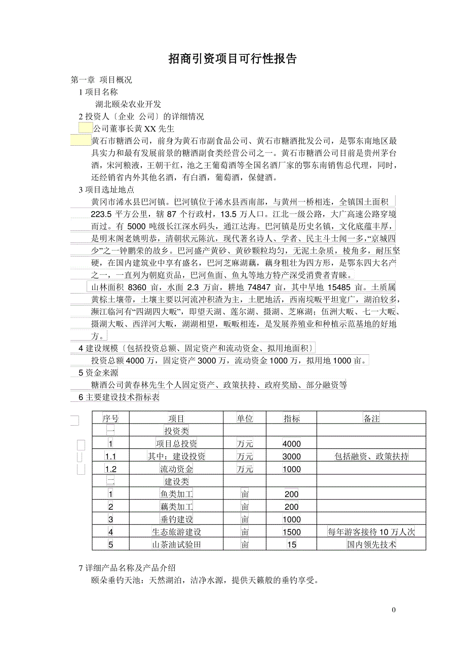 招商引资项目可行性报告_第1页