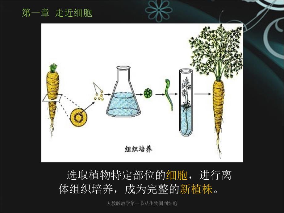 人教版教学第一节从生物圈到细胞课件_第2页