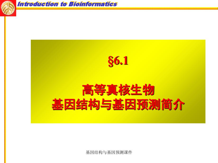 基因结构与基因预测课件_第2页