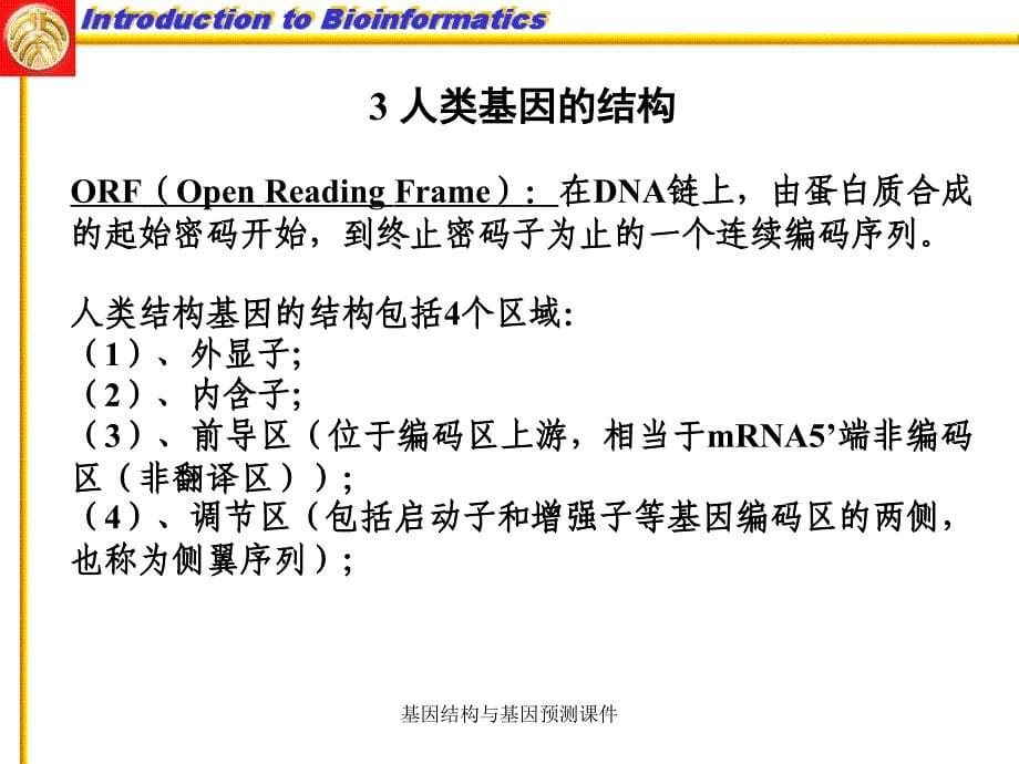 基因结构与基因预测课件_第5页