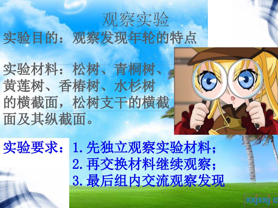 《树木中的纹路》PPT课件.ppt_第4页