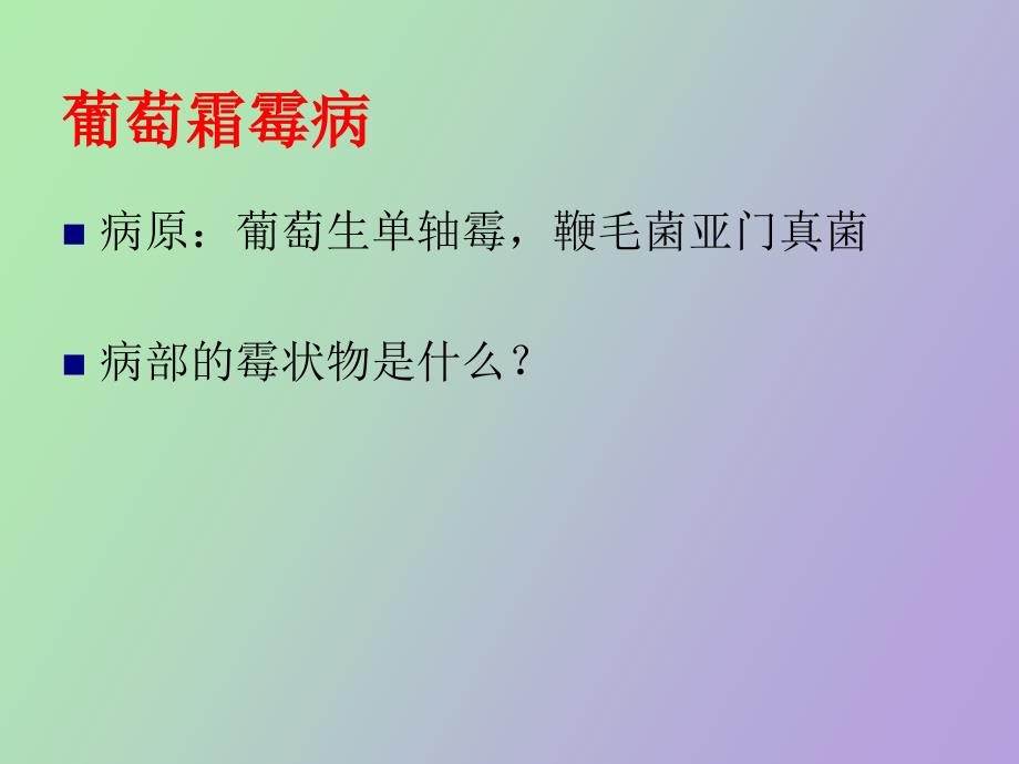 葡萄病虫害防治讲座_第2页