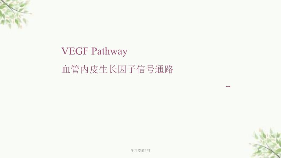 VEGF(血管内皮生长因子)信号通路课件_第1页