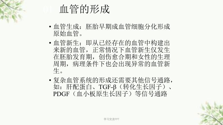 VEGF(血管内皮生长因子)信号通路课件_第3页