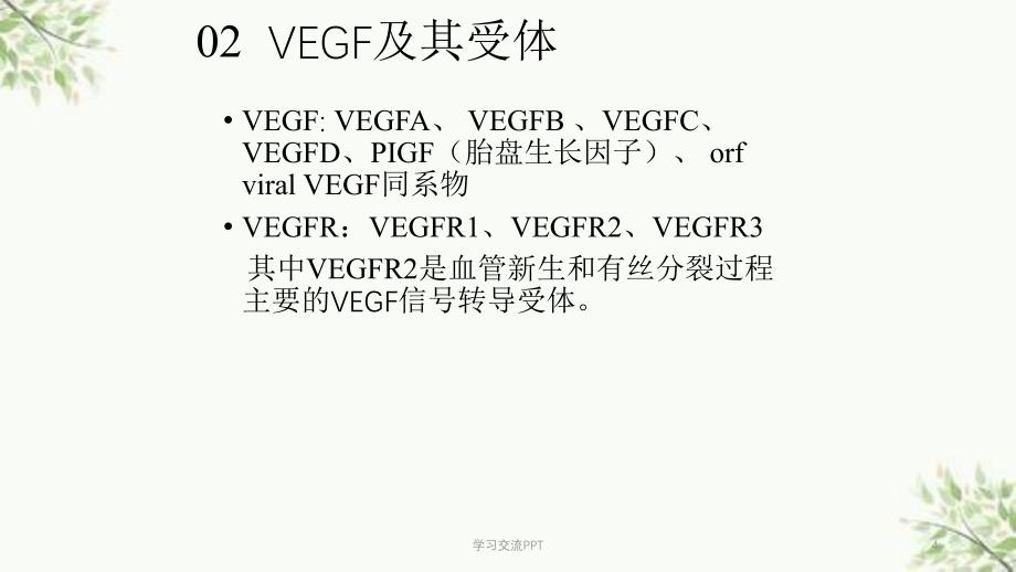 VEGF(血管内皮生长因子)信号通路课件_第4页