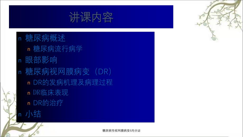 糖尿病性视网膜病变6内分泌_第2页