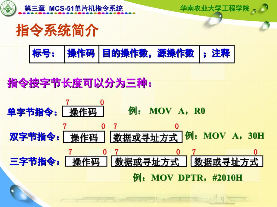 单片机原理与接口技术：第3章 MCS-51单片机指令系统_第4页