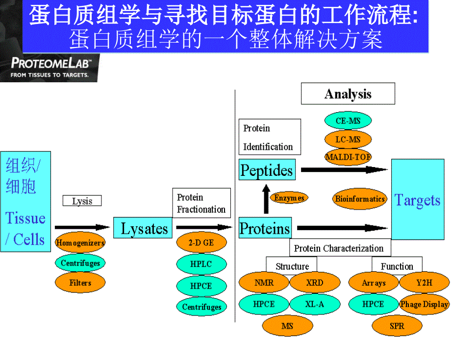 目标蛋白质快速分离系统_第3页