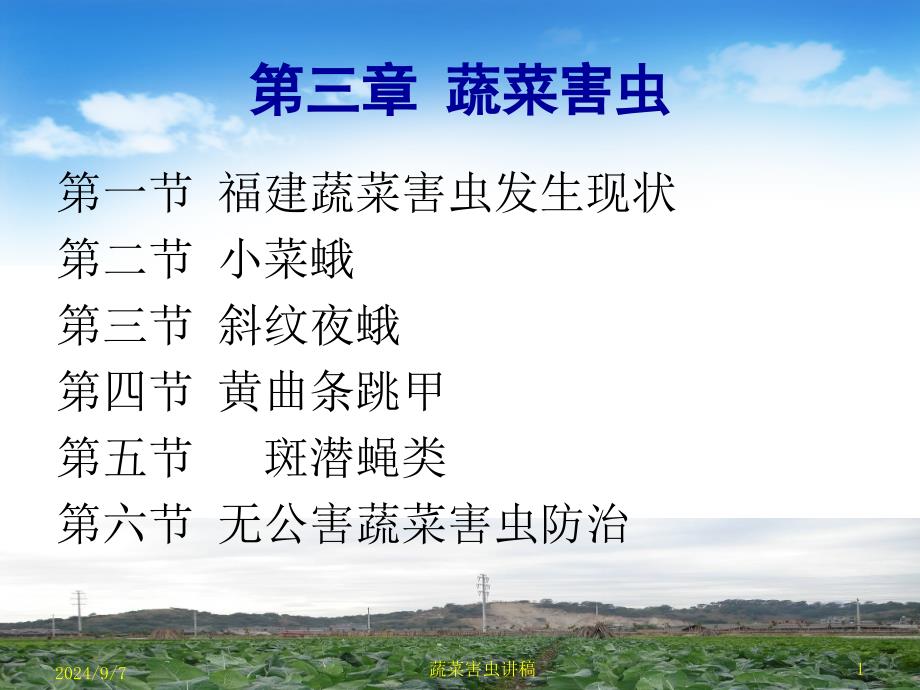 农业昆虫学：第三章 蔬菜害虫_第1页