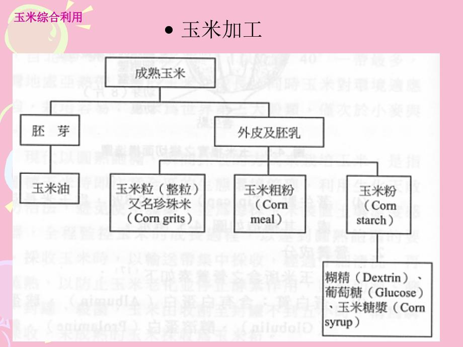 玉米应用情况概述ppt课件_第4页