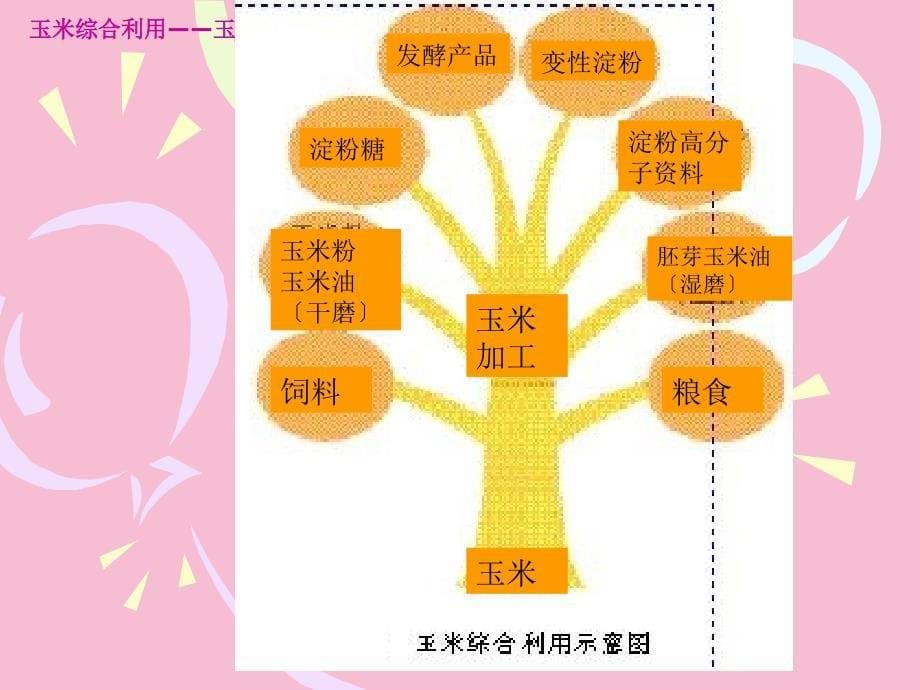 玉米应用情况概述ppt课件_第5页