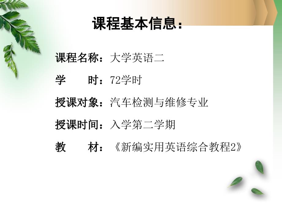 新编实用英语课程设计_第2页