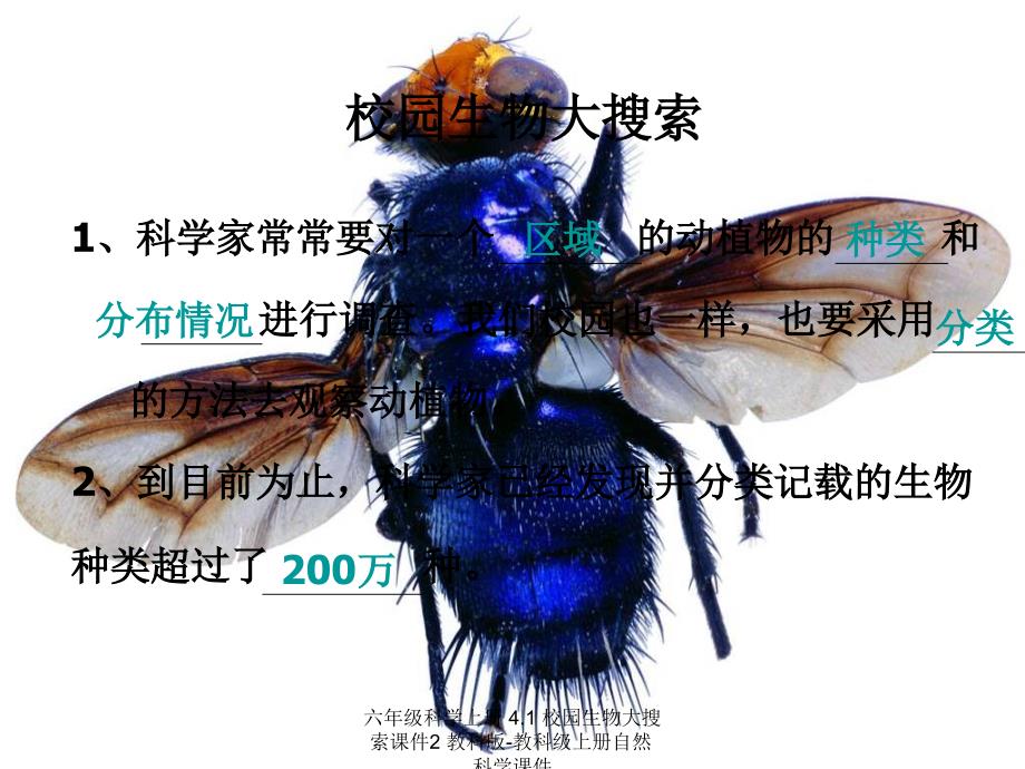 最新六年级科学上册4.1校园生物大搜索课件2教科版教科级上册自然科学课件_第3页