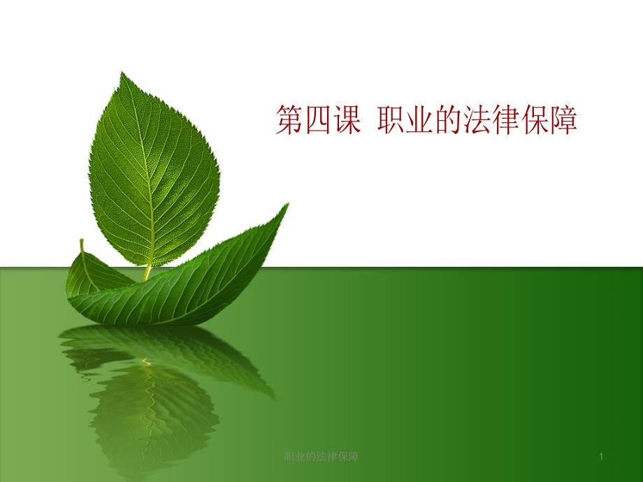 职业的法律保障课件_第1页