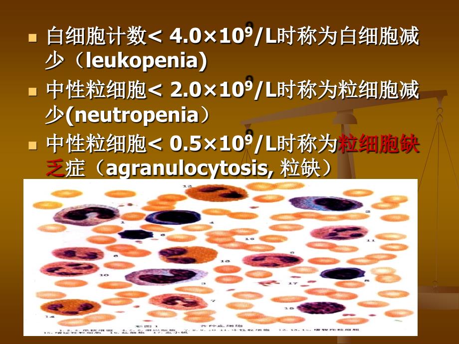 骨髓抑制病人的护理_第4页