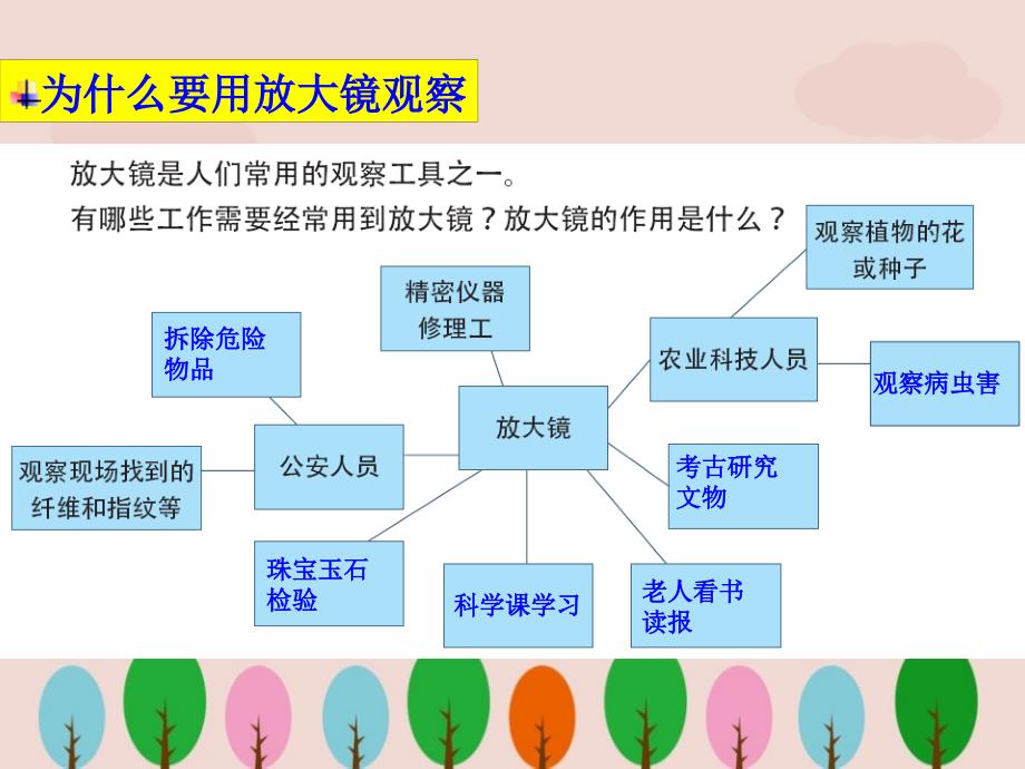 教科版六年级科学下册《放大镜》ppt课件.ppt_第3页