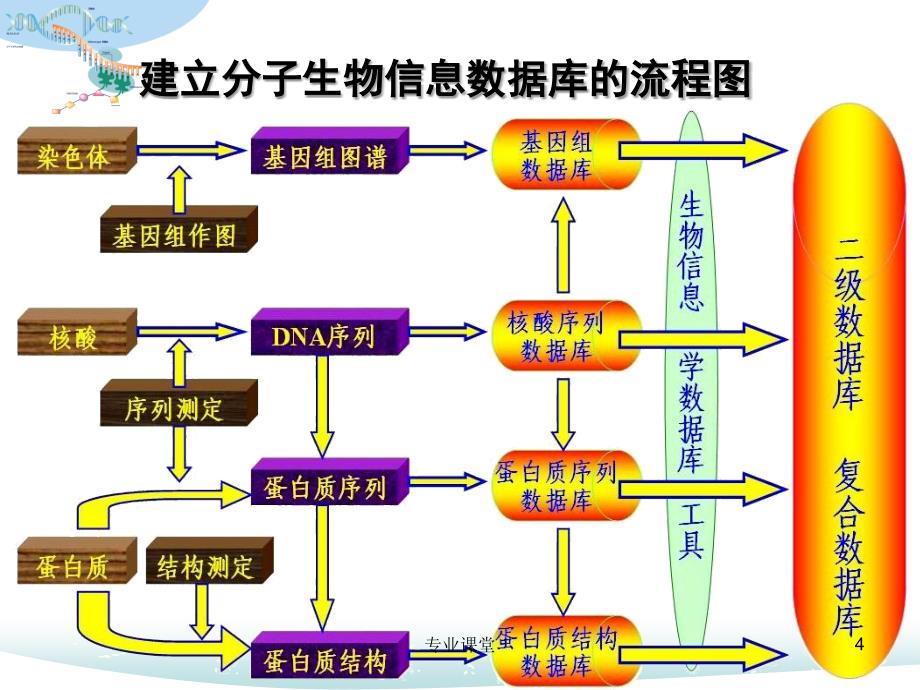 生物信息数据库1117（骄阳书苑）_第4页