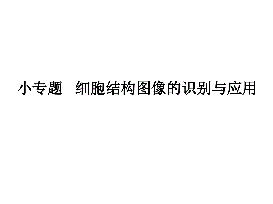 高中生物——细胞结构功能图_第1页