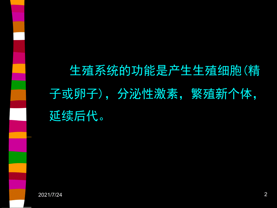 第六章生殖系统PPT课件_第2页