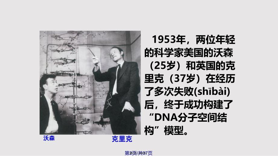 DNA分子的结构二改实用教案_第2页