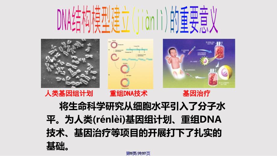 DNA分子的结构二改实用教案_第3页