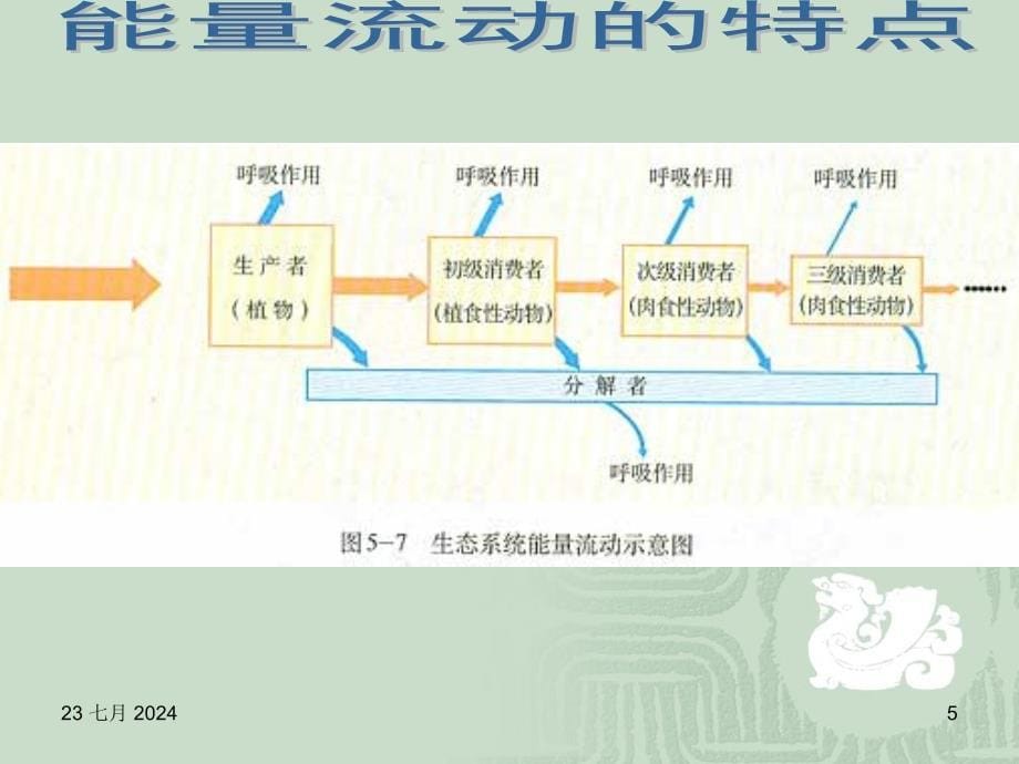 生物人教版必修三第五章第2节生态系统的能量流动_第5页