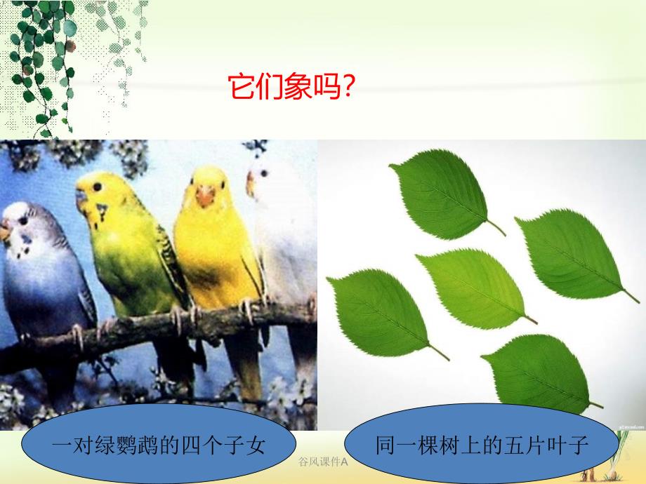 第四节_《生物的变异》ppt课件【优课教资】_第2页