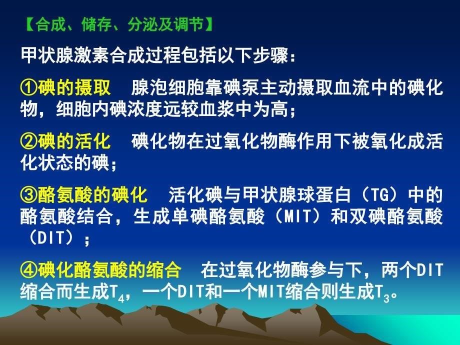 药理学课件第二十六章第二节甲状腺_第5页