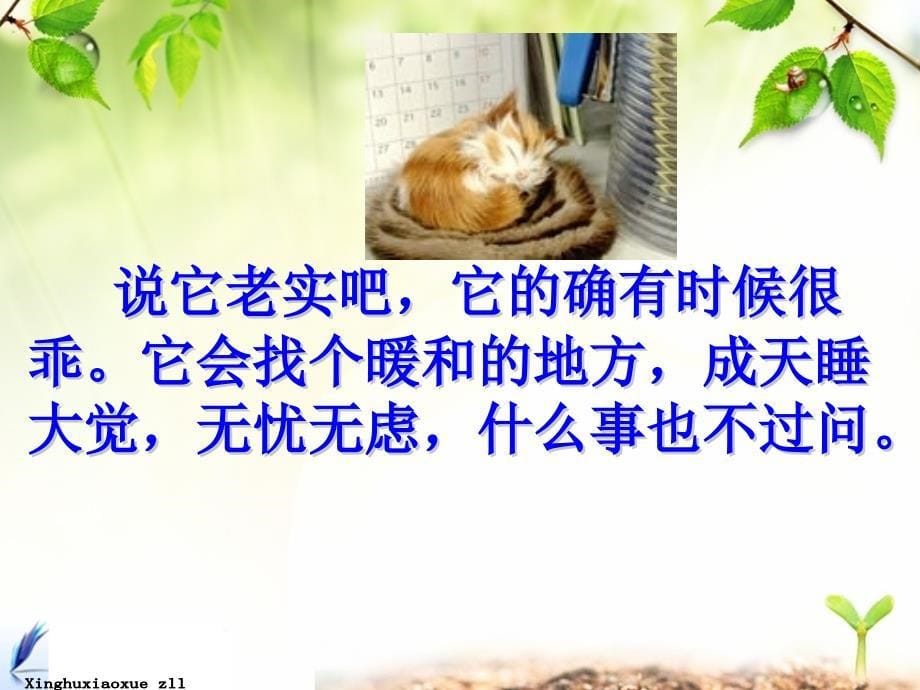 人教版四年级上册猫教学课件_第5页