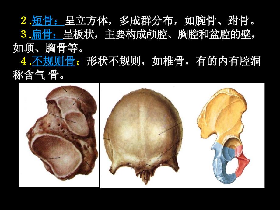 03现代基础医学概论第三章_第4页