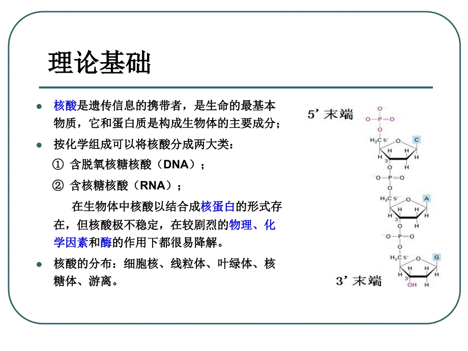 生物化学：动物基因组DNA、总RNA的提取及含量测定_第3页