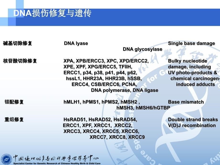 位点介绍傅咏南课件_第5页