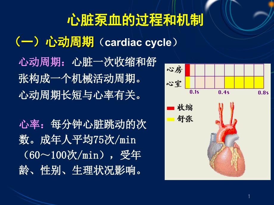 循环系统心泵血过程课件_第1页